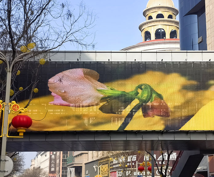 Outdoor Transparent LED